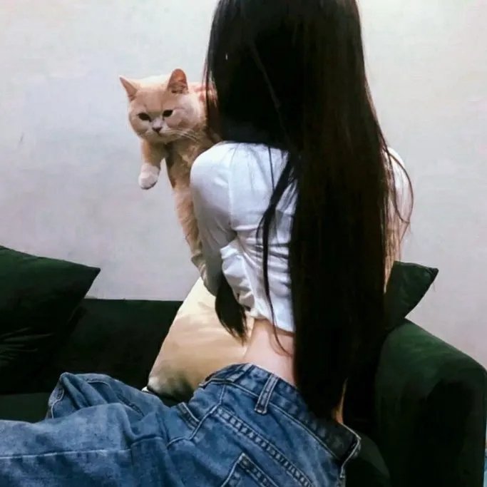老友狗狗粤语